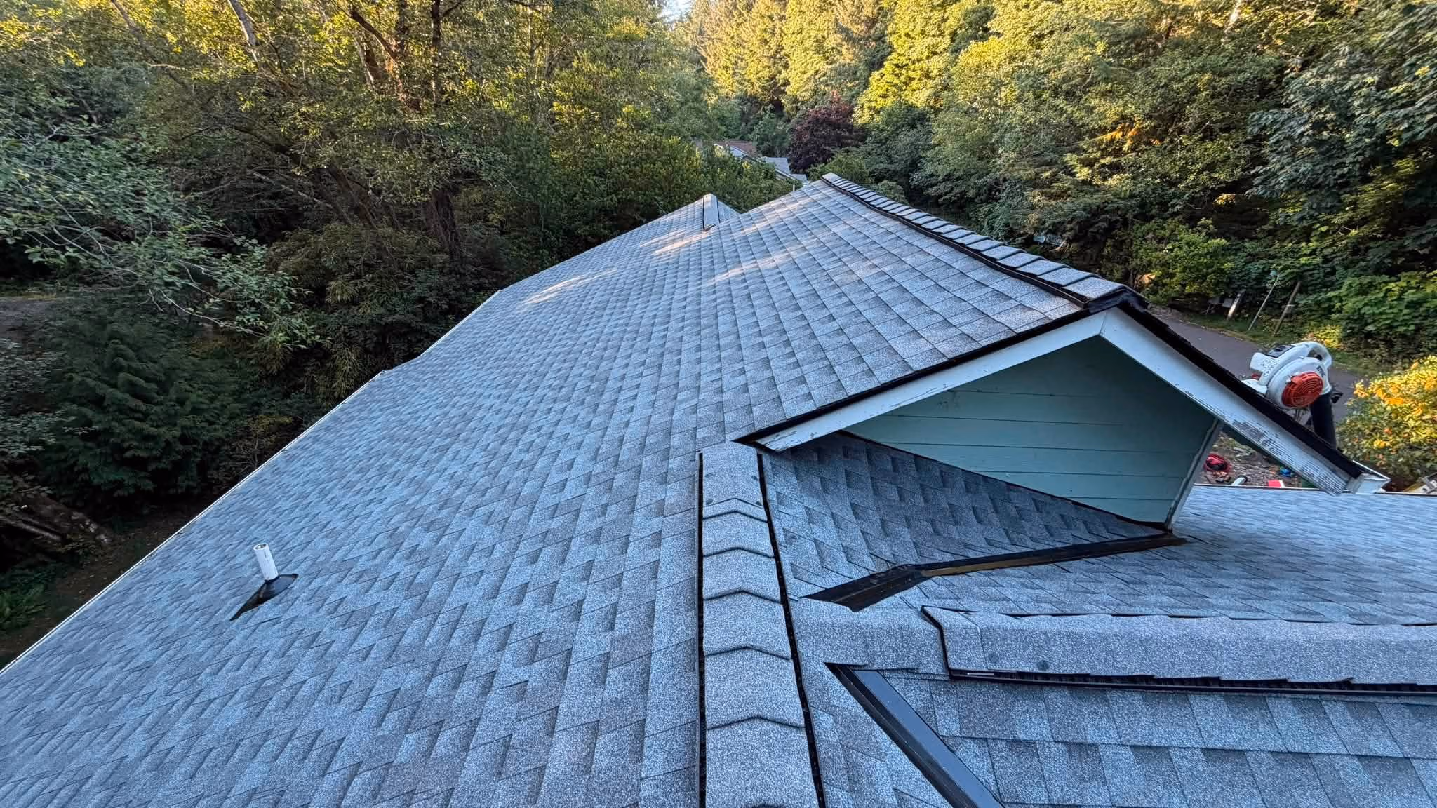 A clean shingled roof with a vent pipe and a tree-surrounded yard in the background.