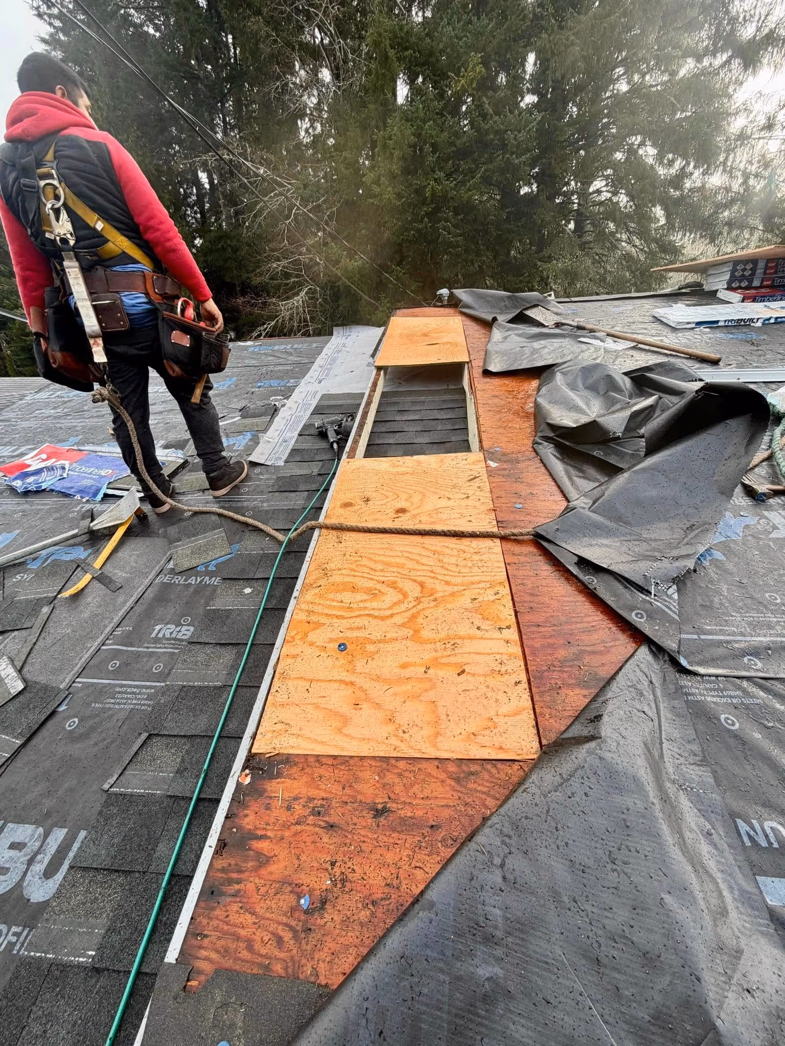 Roofer wearing safety harness working on a residential roof partially covered with underlayment and new plywood sheets near a vent opening.