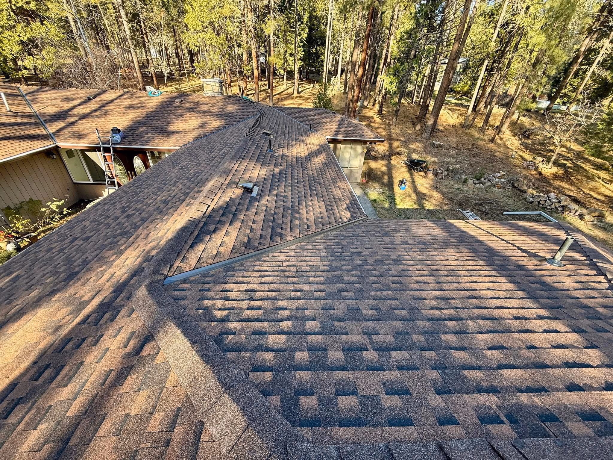 Aerial view of a brown shingle roof with multiple ridges and roof vents, surrounded by tall trees.